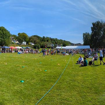 Playing Field